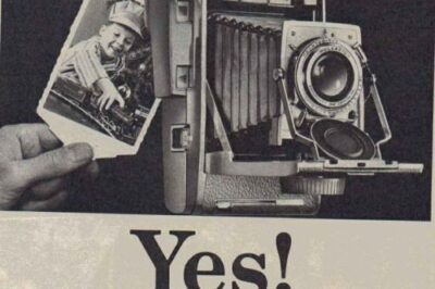 Retro Folding Cameras Evolution: From Kodak to Polaroid Guide & History
