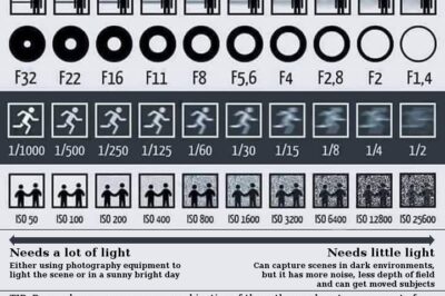 Aperture, Depth of Field & Shutter Speed Guide in Film Photography
