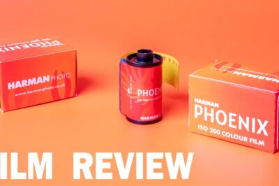 Harman Phoenix Color Film Review: Insights from 36 Exposures & Practical Tips
